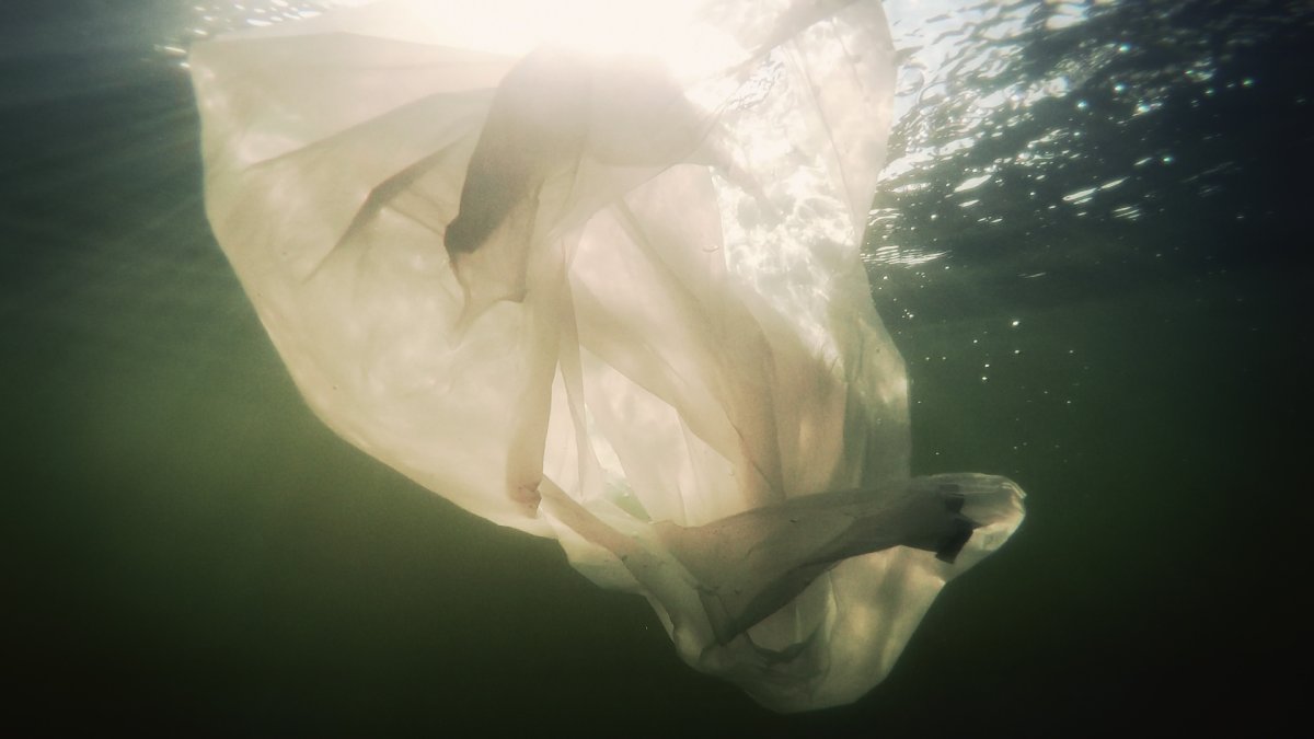 Film still Museu da Crise I