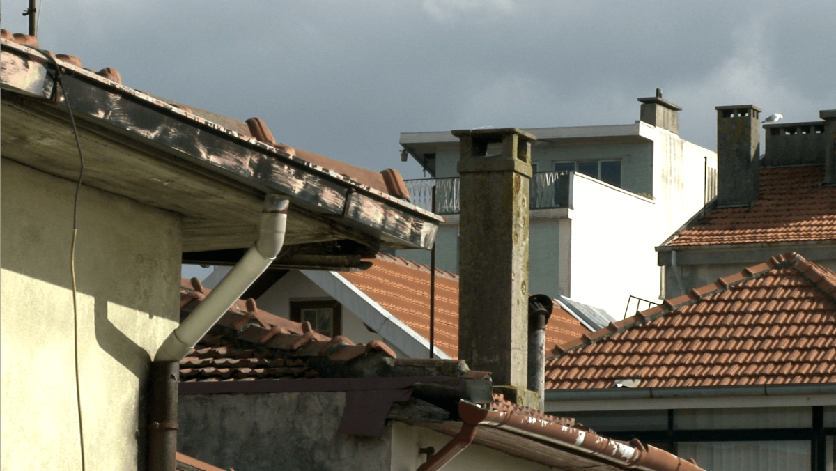 Film still Museu da Crise I